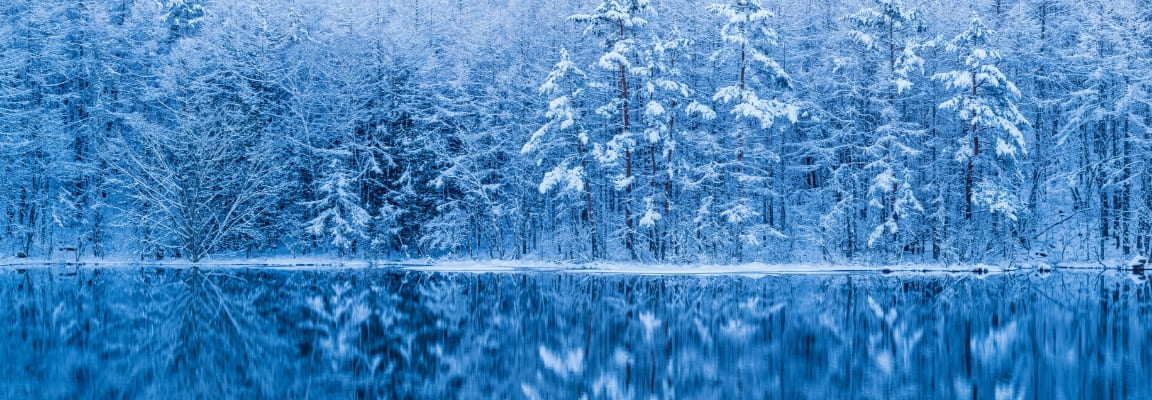 深緑の御射鹿池