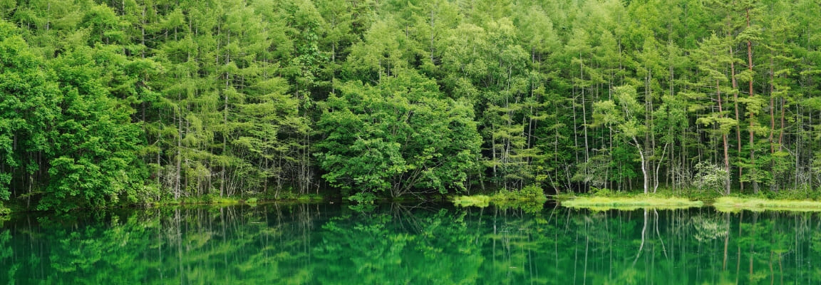 雪の中の御射鹿池