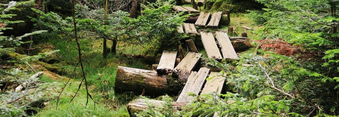 八ヶ岳の登山道