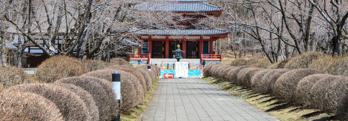 山麓駅から見下ろした諏訪の風景