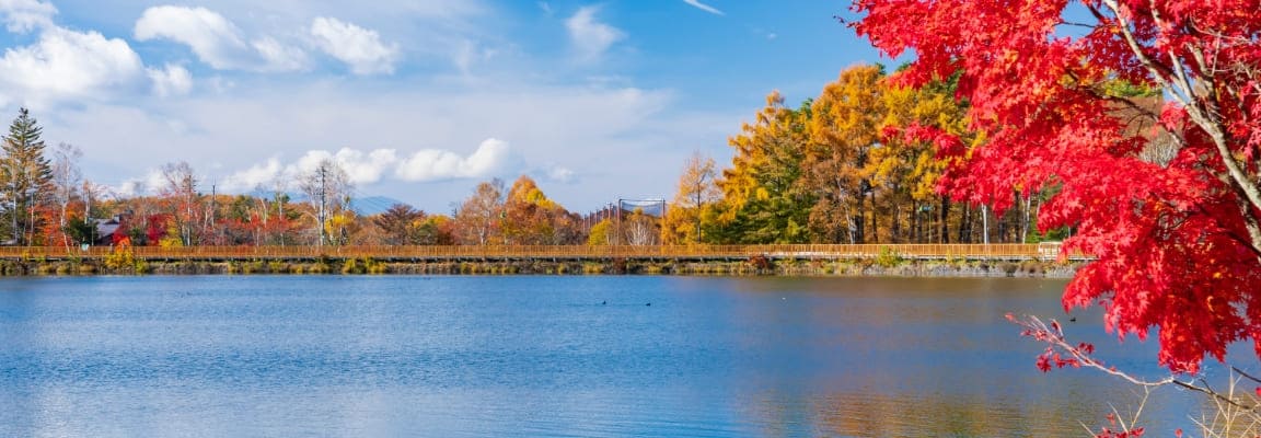 八ヶ岳の登山道