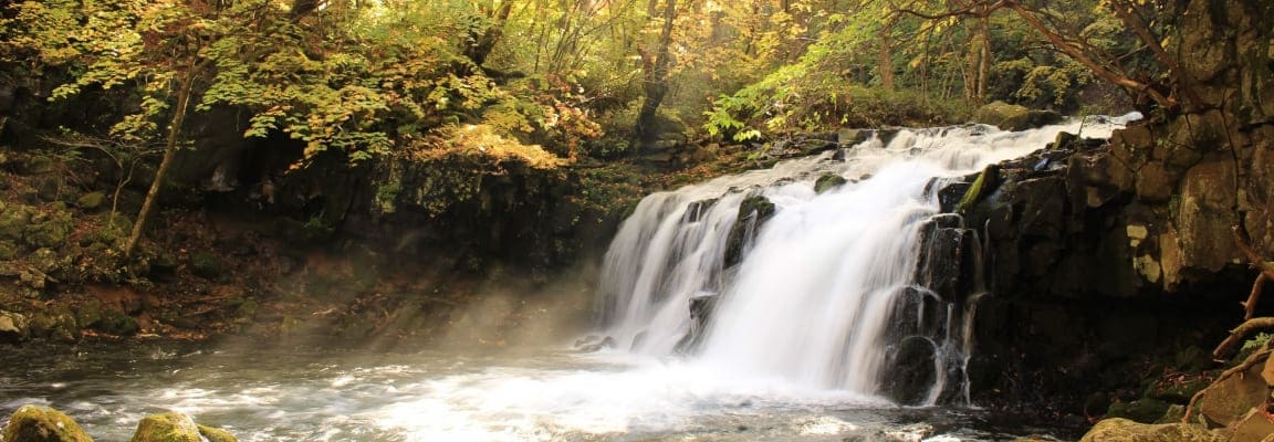 紅葉に彩られた蓼科大滝