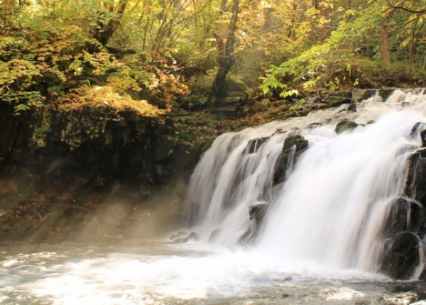 雪の中を滑るスキーヤーの写真